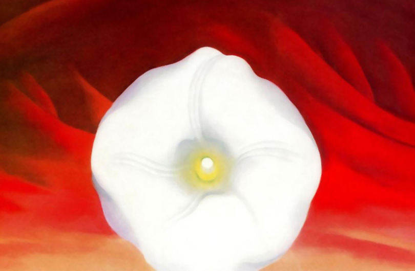 Red Hills and White Flower (Georgia O'Keeffe)